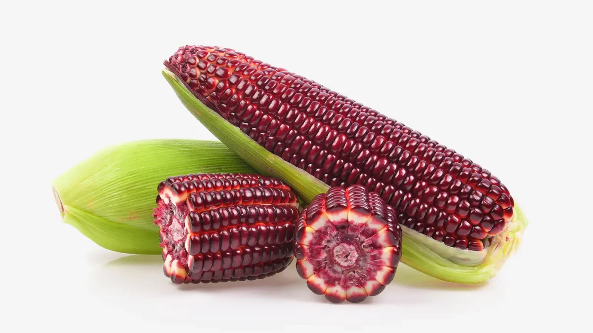 Purple Corn – Drei Fakten rund um das lila Getreide